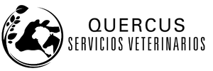 Quercus | Servicios Veterinarios en Ávila